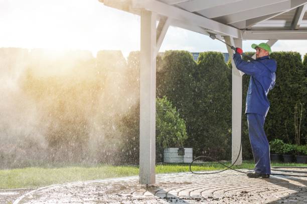 Best Gutter Cleaning  in Rogersville, TN