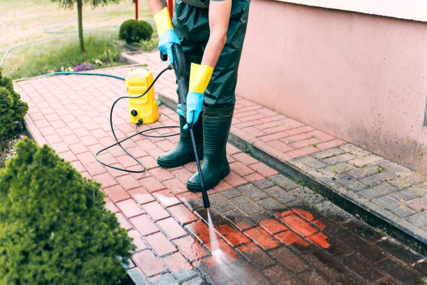 Best House Exterior Washing  in Rogersville, TN