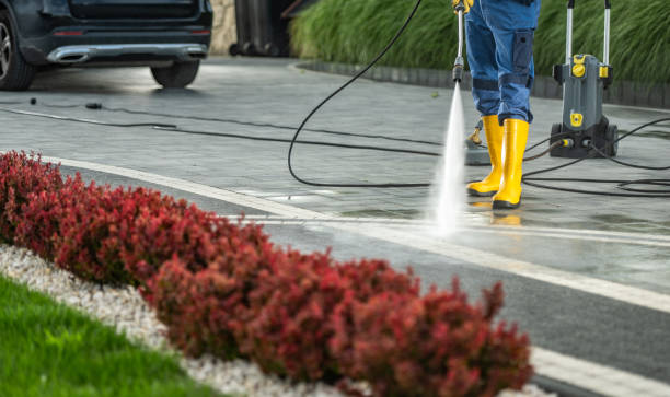 Best Restaurant Pressure Washing  in Rogersville, TN